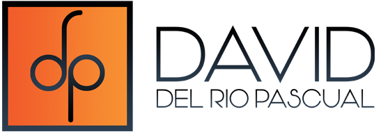 Logo Diseño Web David Del Río Pascual
